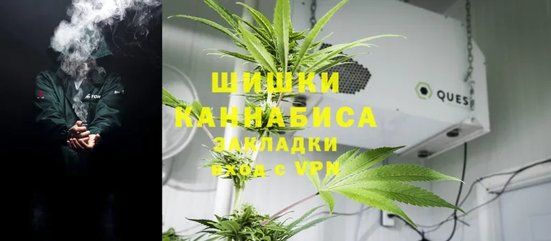 shop формула  Новодвинск  Бошки марихуана Ganja 